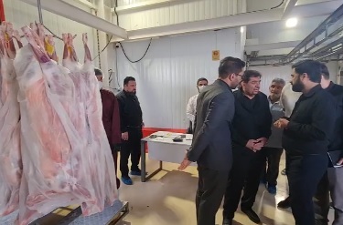 بازدید مخبر از مجتمعهای سردخانهای اقلام پروتئینی بازدید مخبر از مجتمعهای سردخانهای اقلام پروتئینی