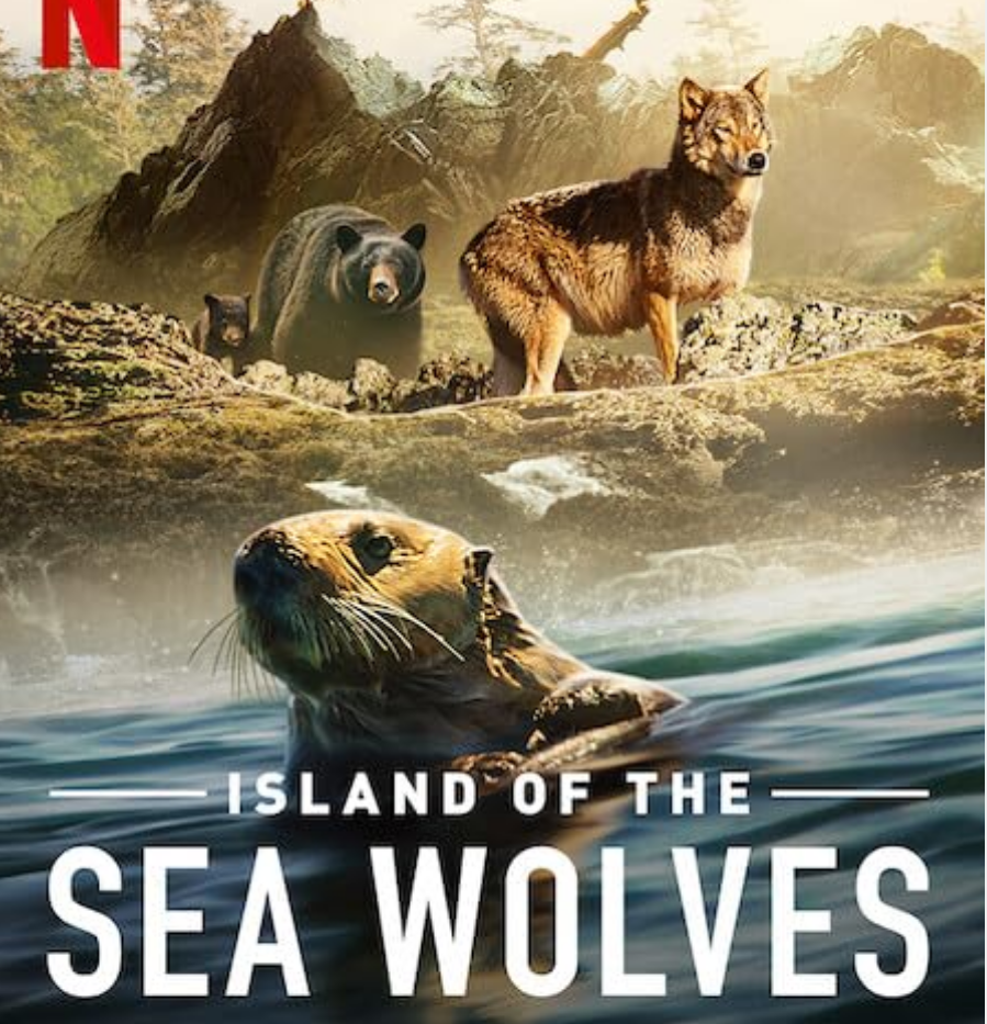 مستندی از زندگی در جزیره‌ای عجیب روی آنتن شبکه تهران