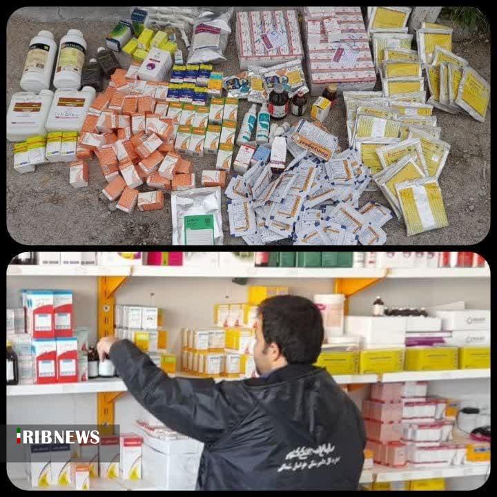 ضبط ۲۴۳ داروی تاریخ گذشته دامی در شیروان