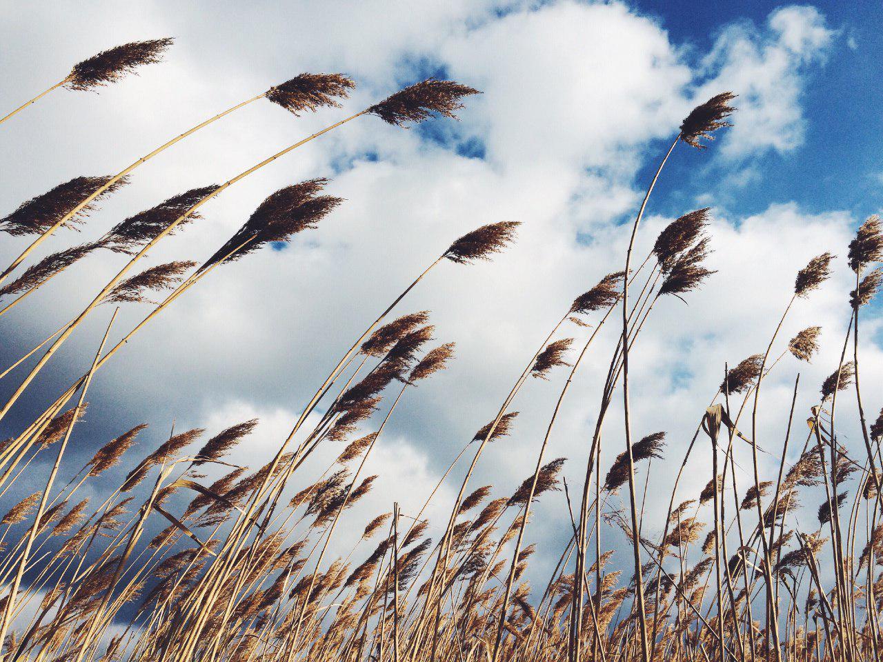 پیش بینی وقوع رگبارهای پراکنده و افزایش دما در خوزستان