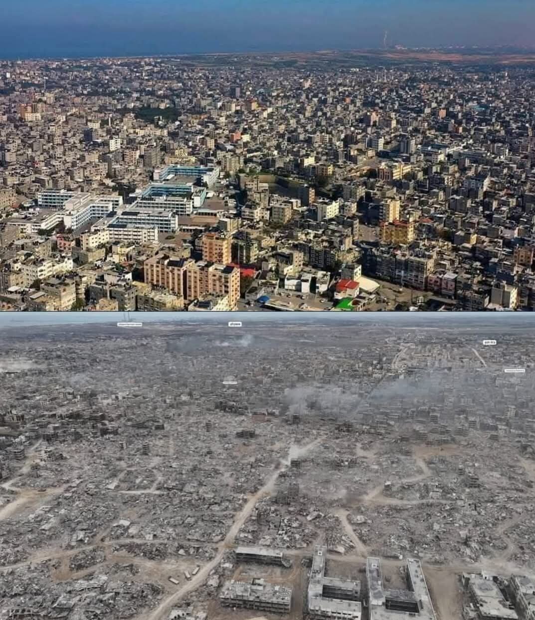 کمبود غذا مردم غزه را در آستانه مرگ قرار داده است کمبود غذا مردم غزه را در آستانه مرگ قرار داده است