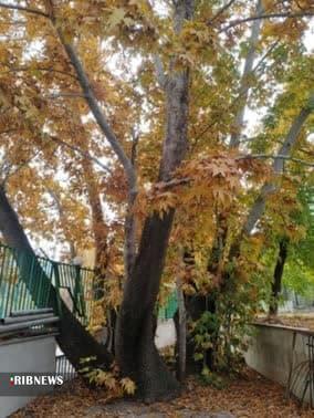 غار زل هستیجان و ۱۵ اثر تاریخی و طبیعی در فهرست آثار ملی