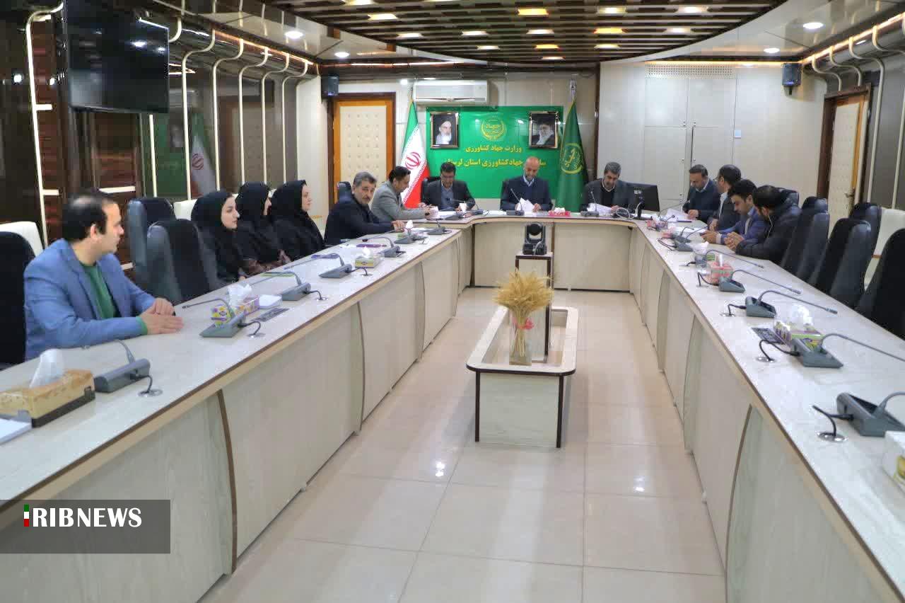 بررسی ۲۱ پلاک در کمیسیون رفع تداخلات لرستان