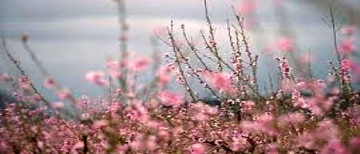 روند افزایش دما در همدان 