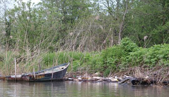ضرورت محدودسازی فاضلاب‌ها و پساب‌های ورودی به تالاب انزلی