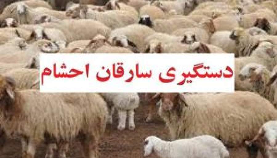 سارقان احشام در دام پلیس شیروان سارقان احشام در دام پلیس شیروان