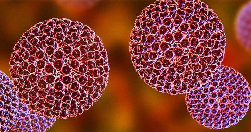 روتاویروس عامل ۹۰ درصد از بیماریهای اسهالی کودکان روتاویروس عامل ۹۰ درصد از بیماریهای اسهالی کودکان