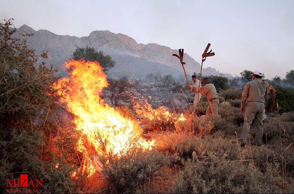 آتش سوزی در۴۰۶ هکتار از جنگل‌های خراسان شمالی