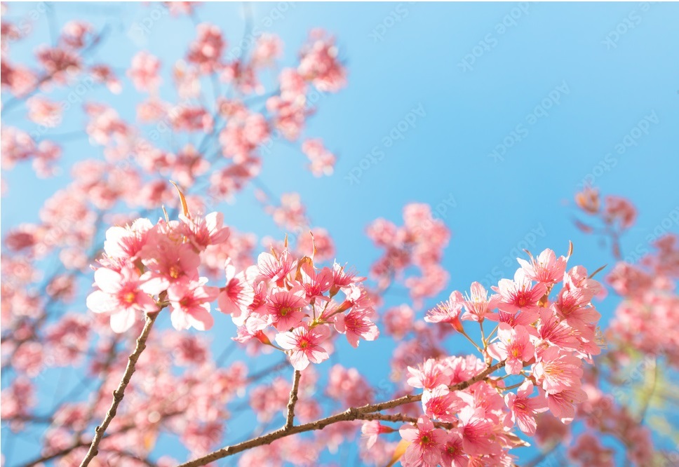 دمای منفی ۳ درجه همدان در یک روز بهاری دمای منفی ۳ درجه همدان در یک روز بهاری