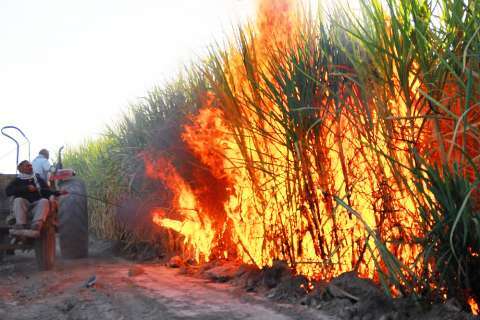 آتشسوزی باگاس نیشکر عامل تشدید آلودگی هوا در اهواز و کارون آتشسوزی باگاس نیشکر عامل تشدید آلودگی هوا در اهواز و کارون