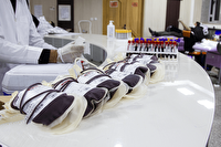 نیاز انتقال خون کهگیلویه و بویراحمد به همه گروه‌های خونی