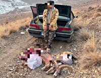 شکارچیان متخلف در منطقه شکارممنوع کوه سفید دماوند دستگیر شدند