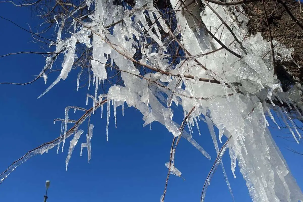 یخبندان و کاهش محسوس دما در راه است یخبندان و کاهش محسوس دما در راه است