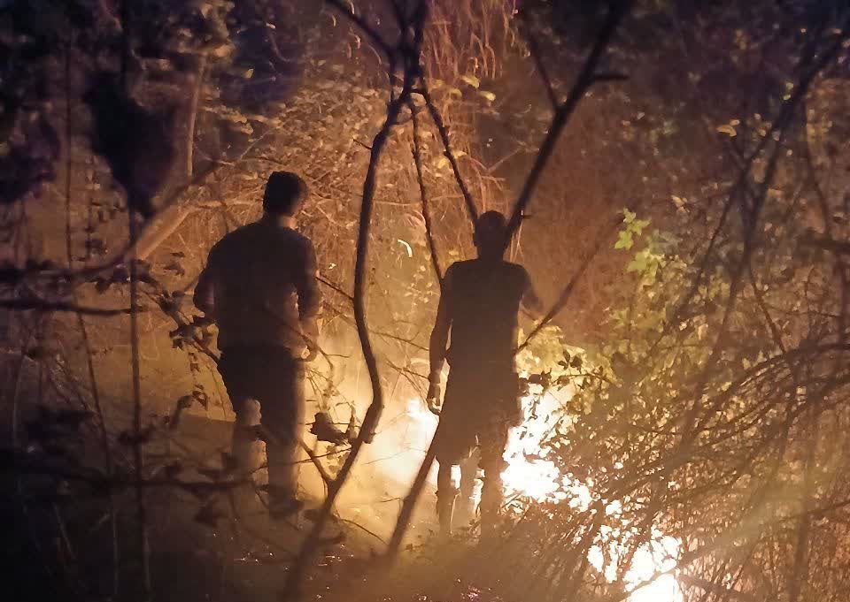 مهار آتش سوزی در ۲ هکتار از جنگل‌های گیلان