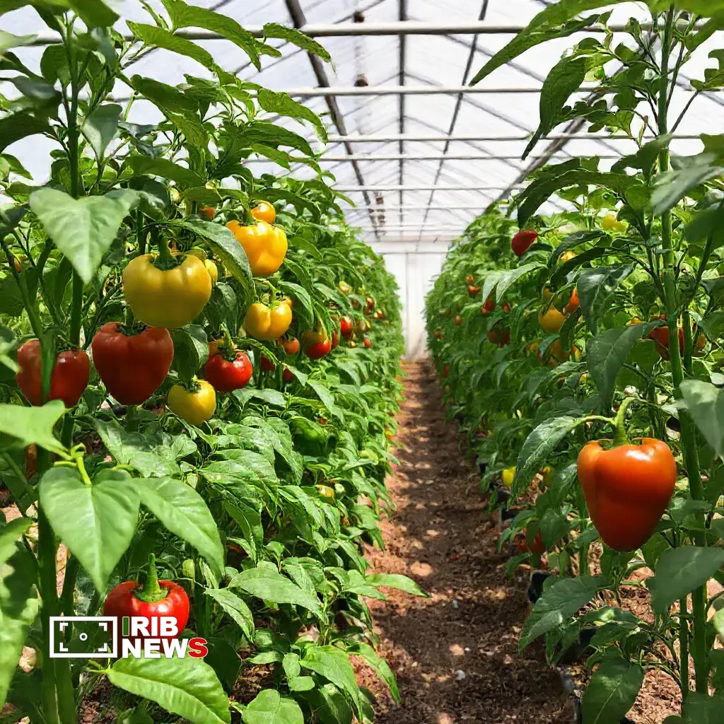 صادرات بیش از چهار هزار تن محصولات کشاورزی در لرستان