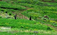 ۸۰۰ جاذبه گردشگری در چهارمحال و بختیاری آماده میزبانی از مسافران نوروزی