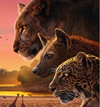 آماده سازی مستند «قلمرو» برای شبکه مستند