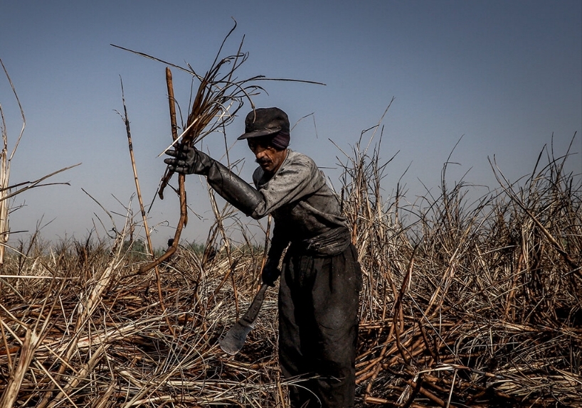 فرمانداری شوش ذره‌ای در دفاع از حقوق کارگران این شهرستان کوتاه نخواهد آمد