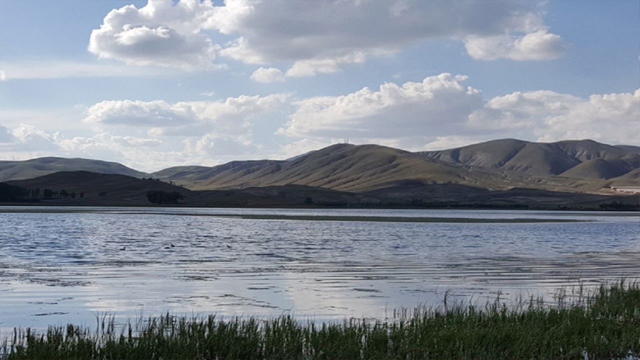 افزایش آب تالاب بین المللی قوریگل