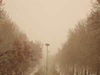 هوای ۵ شهر کرمانشاه در وضعیت خطرناک قرار گرفت