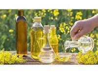 خرید ۲۳ هزار تن کلزا از کشاورزان مازندران