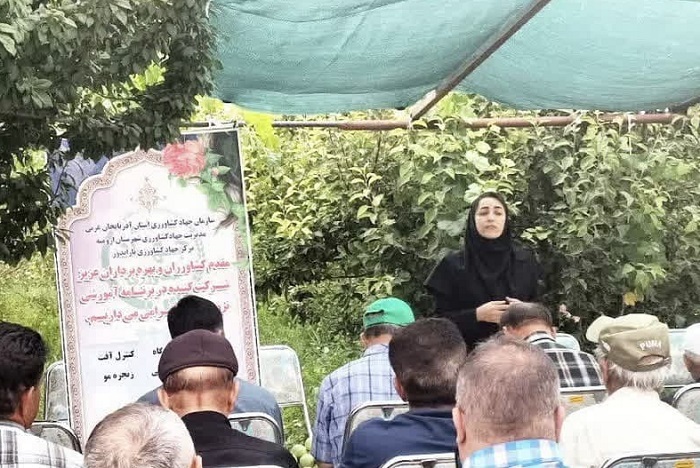آشنایی ۱۲۰ نفر از باغداران منطقه جاده سنتو با آفت زنجره مو و نحوه کنترل آن