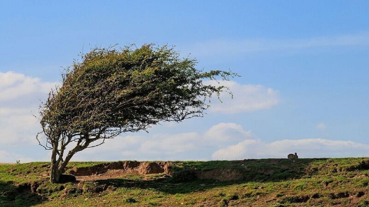 هشدار سطح زرد وزش باد و گردوخاک رگبار پراکنده