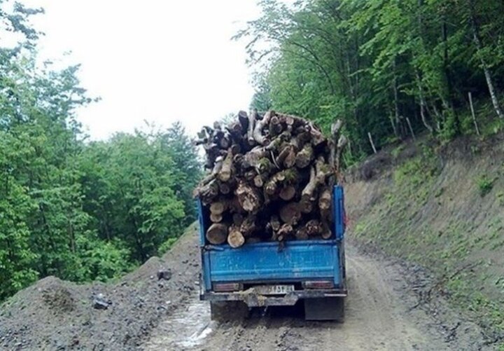 کشف بیش از ۹۷ تُن چوب و زغال قاچاق در استان