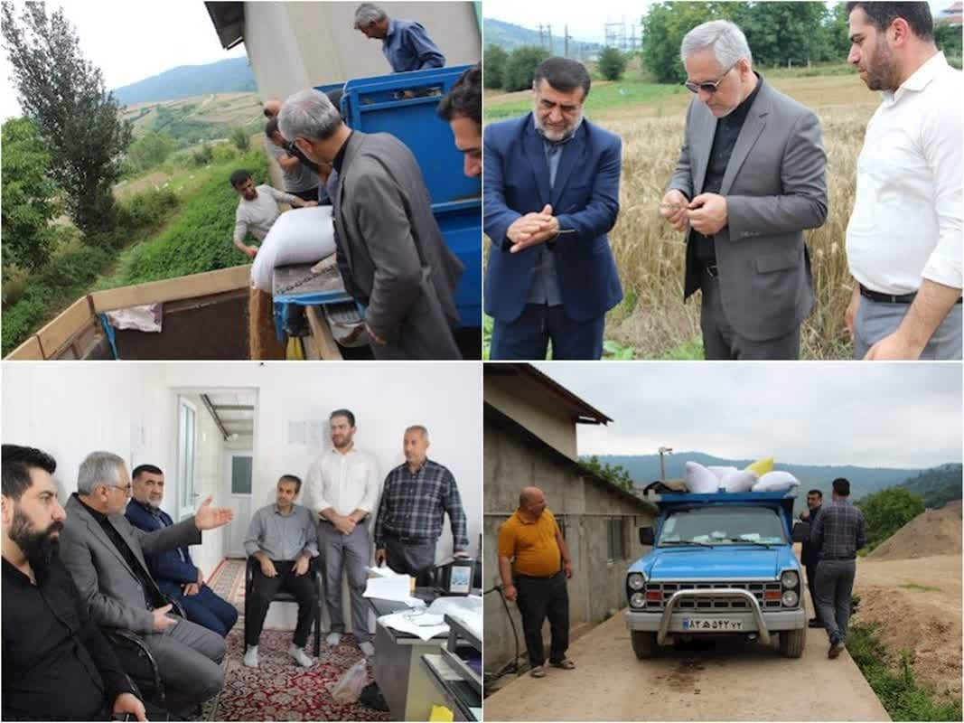 گندم‌کاران به میزان رطوبت محصول هنگام برداشت توجه کنند