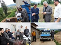 گندم‌کاران به میزان رطوبت محصول هنگام برداشت توجه کنند