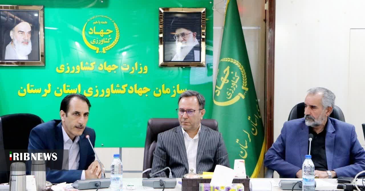 لرستان در جمع ۶ استان برتر دامداری روستایی و عشایری کشور
