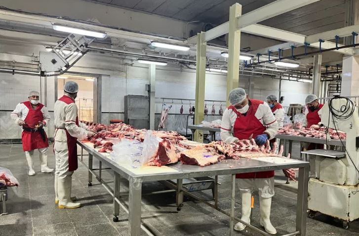 فعالیت 9 کشتارگاه صنعتی در سیستان و بلوچستان