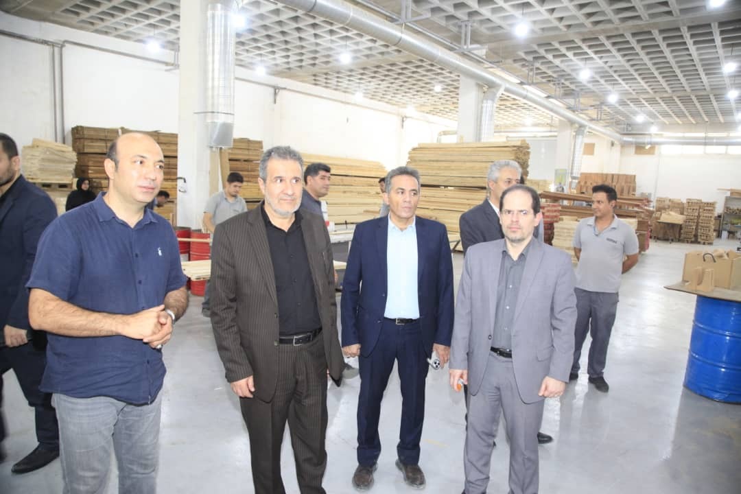 تاکید معاون وزیر صمت بر موانع تولید و تقویت بخش خصوصی