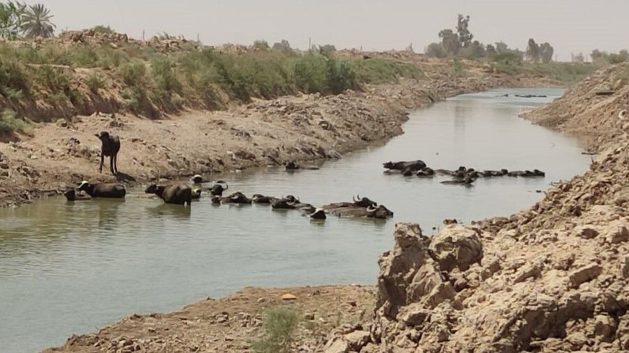 رهاسازی آب در مسیر کرخه و کارون برای تامین نیاز های حیاتی رهاسازی آب در مسیر کرخه و کارون برای تامین نیاز های حیاتی