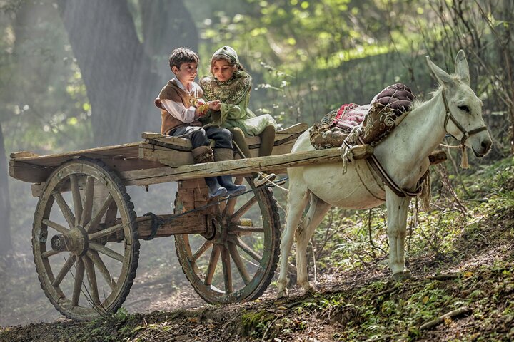 «روماک» در ژانر کودک و نوجوان کلید خورد «روماک» در ژانر کودک و نوجوان کلید خورد