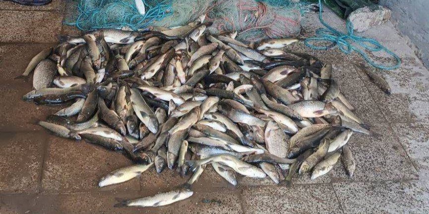 دستگیری ۶ صیاد متخلف در شاهین‌دژ