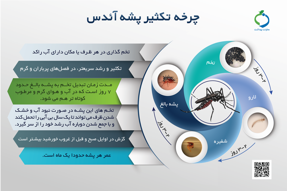 پشه آئدس را بیشتر بشناسیم