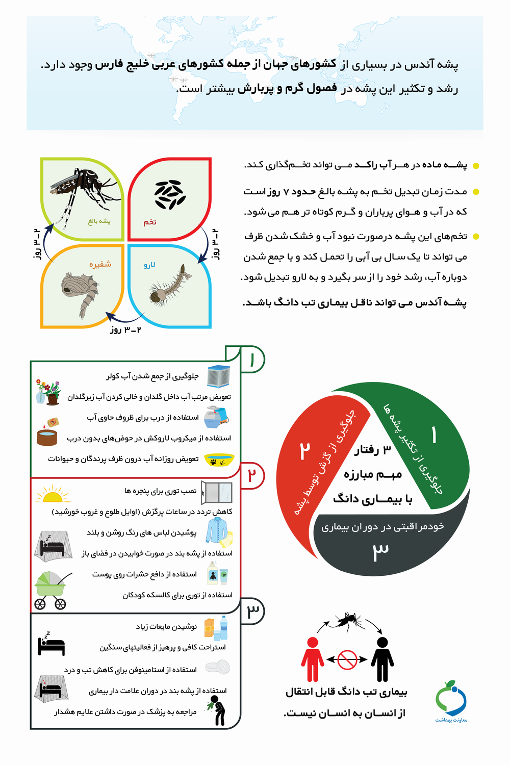 پشه آئدس را بیشتر بشناسیم