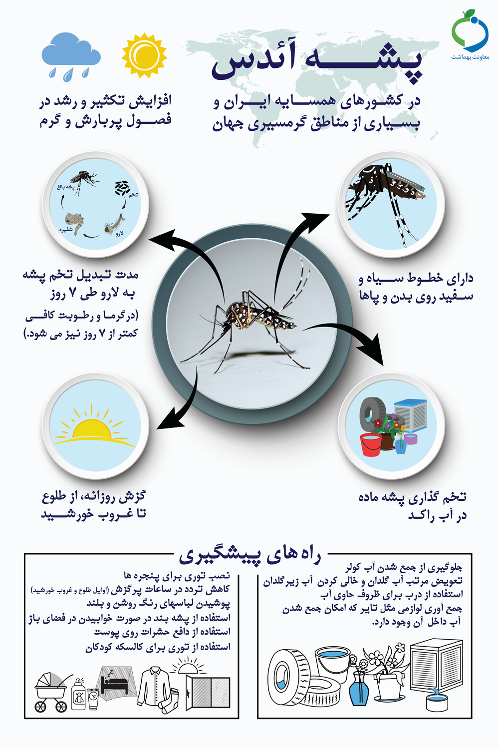 پشه آئدس را بیشتر بشناسیم