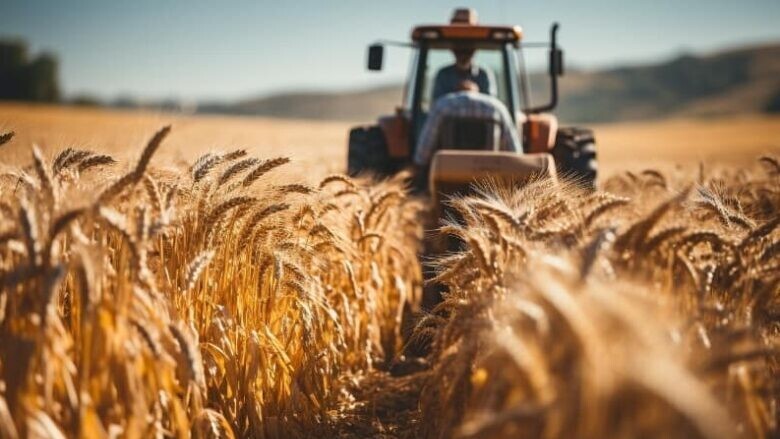 وزیر جهاد کشاورزی از تسویه کامل مطالبات گندمکاران خبر داد