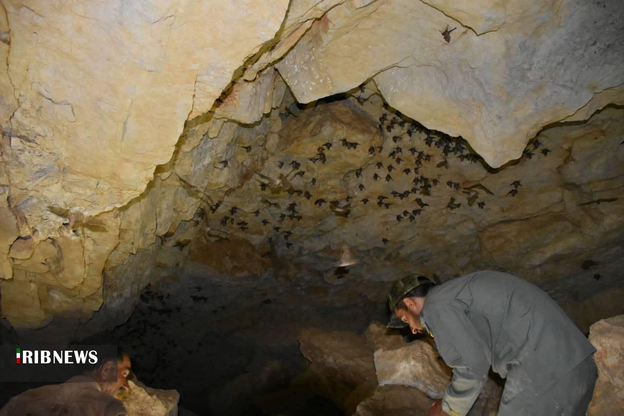شناسایی غار جدید در شهرستان لالی شناسایی غار جدید در شهرستان لالی
