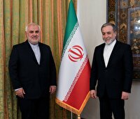 دیدار سفیر جدید جمهوری اسلامی ایران در هند با وزیر امور خارجه