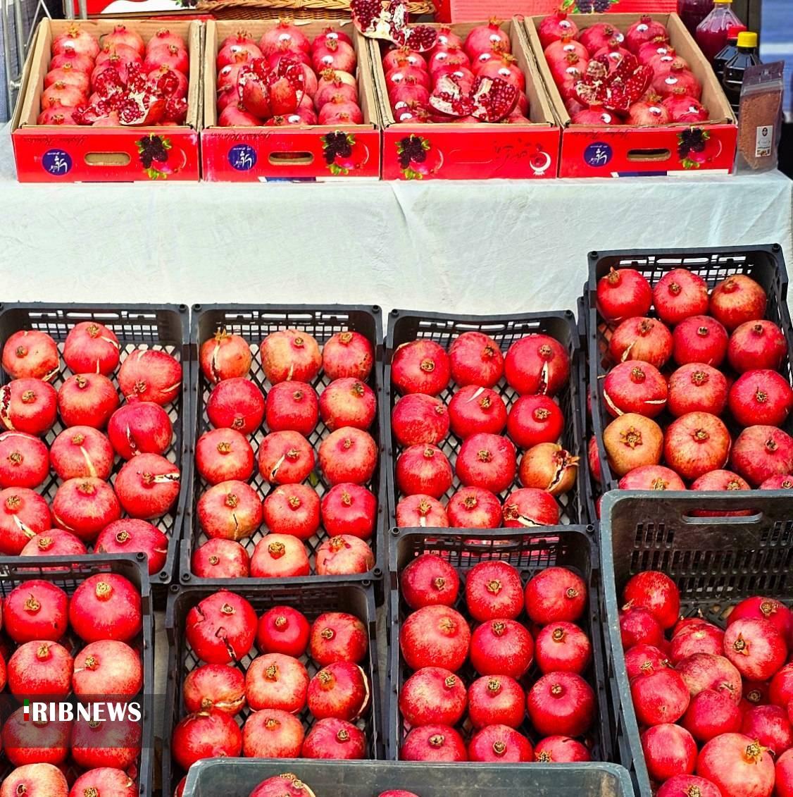 تلاش برای ثبت جشنواره انار شیراز در تقویم گردشگری تلاش برای ثبت جشنواره انار شیراز در تقویم گردشگری