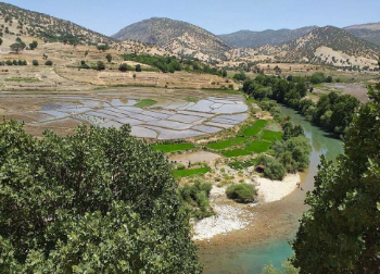 چیتاب، بهشت پنهان کشاورزی ایران به روایت شکرانه