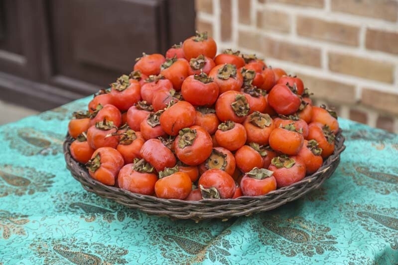 میراث ناملموس پایتخت باید پاسداری شود