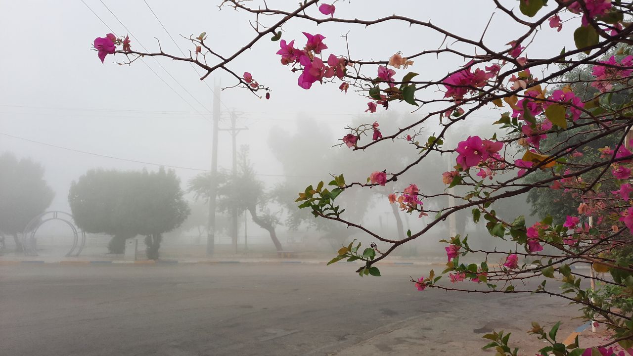 رطوبت ۹۴ درصدی هوا در جنوب غرب خوزستان رطوبت ۹۴ درصدی هوا در جنوب غرب خوزستان