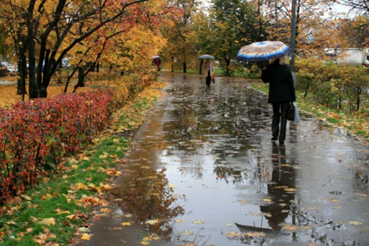 بارش در شمال و کاهش محسوس دما در پایان هفته