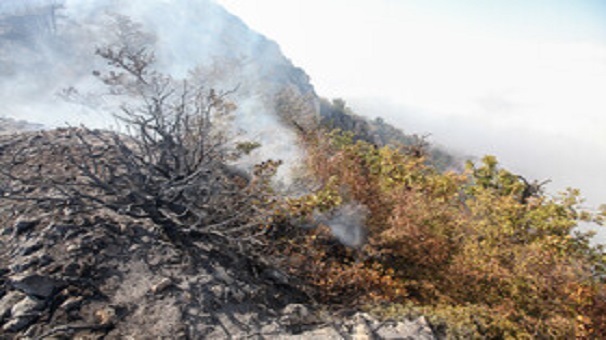 مهار دو مورد آتش‌سوزی در جنگل‌های شهرستان کردکوی