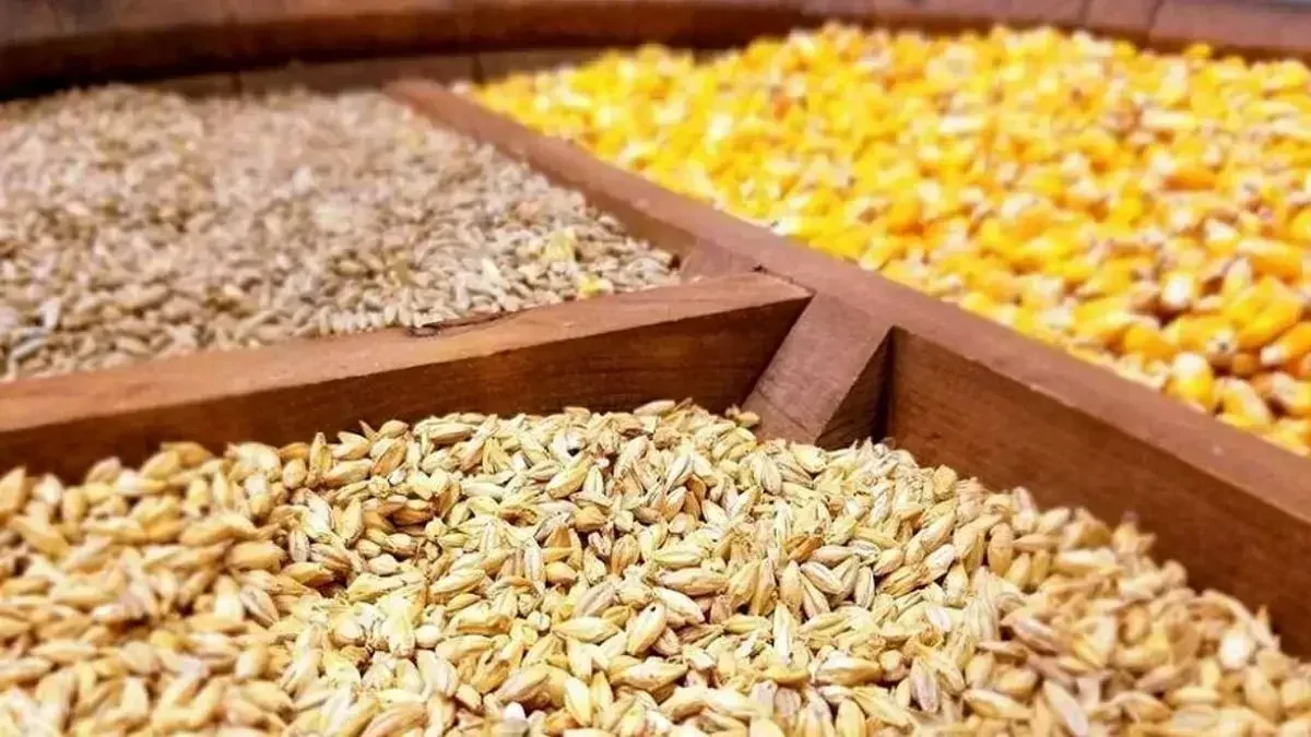 عضو کمیسیون کشاورزی مجلس: مشکلی در تأمین نهاده‌ها تا عید نوروز نداریم