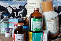 کشف بیش از یک میلیارد ریال دارو و واکسن دامی غیرمجاز در خوزستان